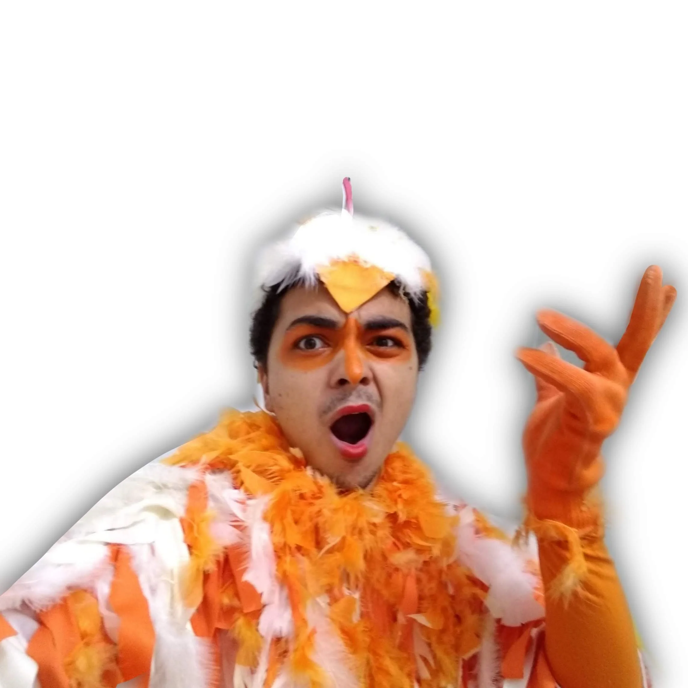 O Casamento da Dona Baratinha